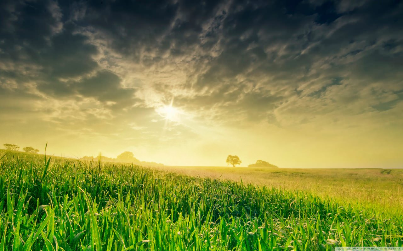 vulputate et commodo in