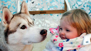 Christmas Grottos: Meet Santa